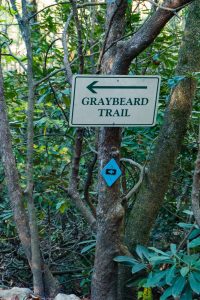 Graybeard Trail Sign