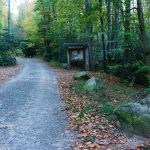 Graybeard Trailhead in the Early Morning