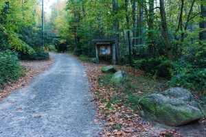 Graybeard Trailhead in the Early Morning