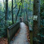 Graybeard Trailhead Bridge