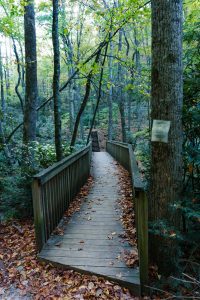 Graybeard Trailhead Bridge