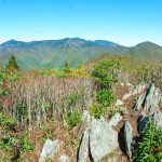 Graybeard Mountain Summit