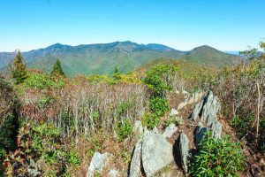 Graybeard Mountain Summit