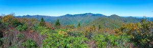 View from Graybeard Summit