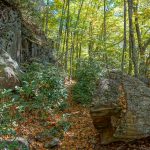 Rock Cut on the Graybeard Trail