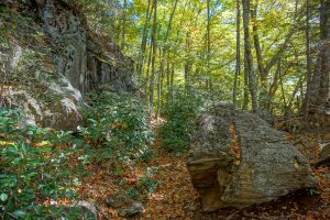 Rock Cut on the Graybeard Trail