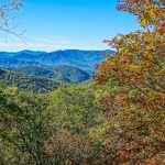 View from Trestle Road Section of Graybeard Trail