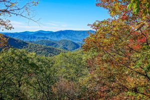 View from Trestle Road Section of Graybeard Trail