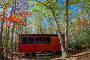 Walkers Knob Shelter