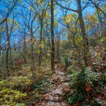 Walkers Knob Trail