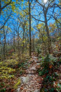 Walkers Knob Trail