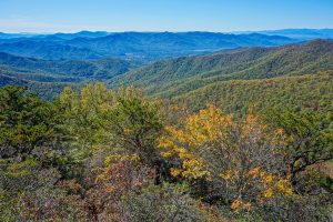 View from Walkers Knob