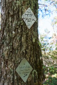 Big Piney Summit