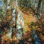 Rocky Spine of the Ridge