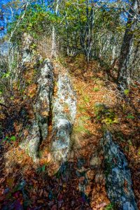 Rocky Spine of the Ridge