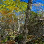 Rocky Outcrop on Middle Mountain