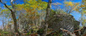 Rocky Outcrop on Middle Mountain