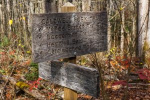 Big Fork Ridge and Caldwell Fork Junction Sign