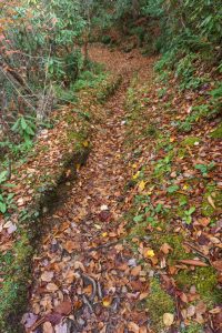 Eroded Section of Big Fork Ridge