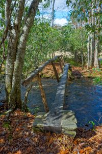 Footbridge across Rough Fork