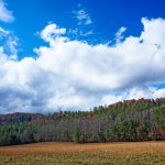 Meadow at the Start of the Big Fork Ridge Trail