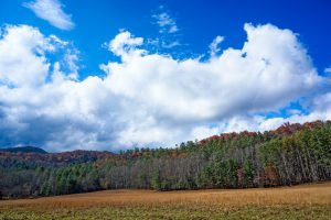 Meadow at the Start of the Big Fork Ridge Trail