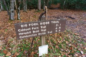 Big Fork Ridge Trail Sign