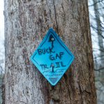 Blaze at the Top of the Buck Gap Trail