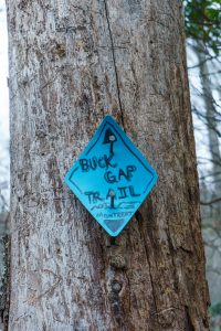 Blaze at the Top of the Buck Gap Trail