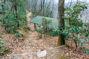 Shelter at the Buck Gap/Trestle Road Junction