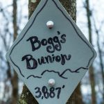 Bogg's Bunion Sign