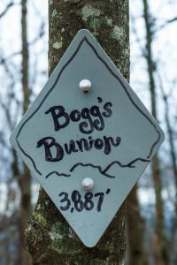 Bogg's Bunion Sign