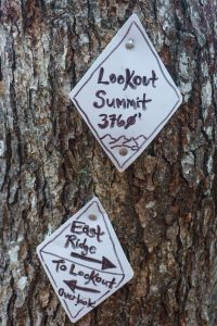 Lookout Summit Sign