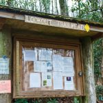 Information Board at the Lookout Trailhead