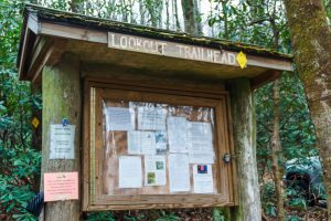 Information Board at the Lookout Trailhead