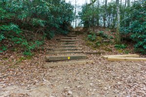 Junction of Lookout Trail and Old Trestle Road