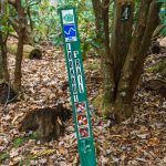 Lookout Trail Sign