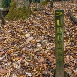 Sign Post on the Lookout Trail