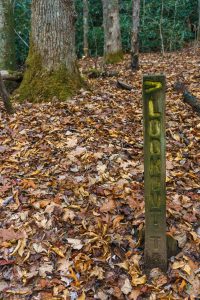 Sign Post on the Lookout Trail