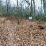 Old Mitchell Toll Road at Buck Gap