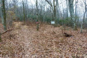 Old Mitchell Toll Road at Buck Gap