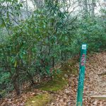 Old Trestle Road from Lookout