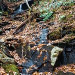 Small Cascade along the Old Trestle Road