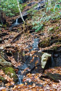 Small Cascade along the Old Trestle Road