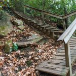 Steps on the Old Trestle Road