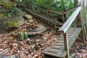 Steps on the Old Trestle Road