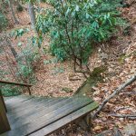 Steps and Ravine on the Old Trestle Road