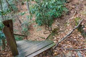Steps and Ravine on the Old Trestle Road