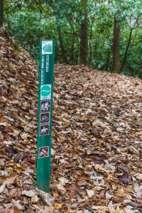 Rainbow Road Trail Sign