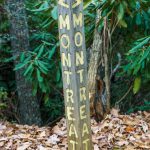 Montreat Trail Post in Rainbow Gap